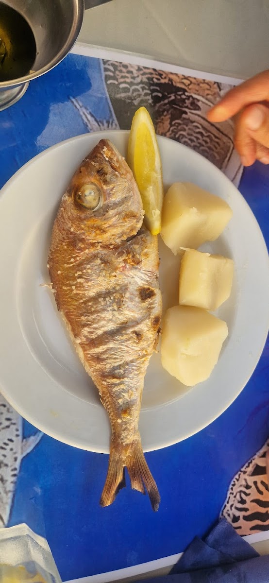 Snack Bar Bom Petisco Albufeira-8